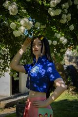Robin in garden preview 2