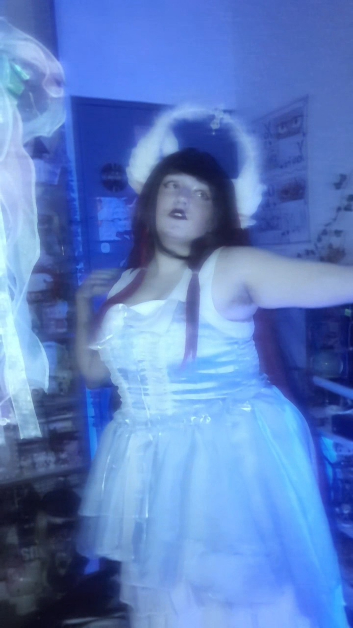 Columbina  - Photo 4