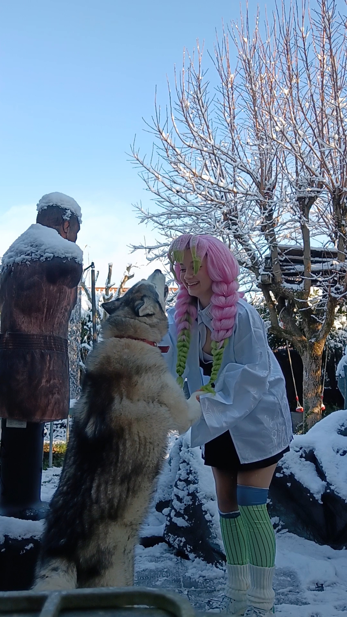 Mitsuri Kanroji - Photo 26