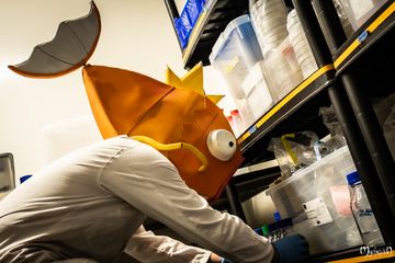 Professor Magicarpe preview 3