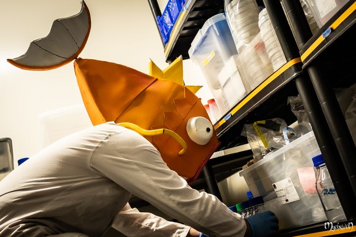 Professor Magicarpe