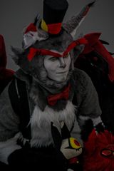 Husk preview 2