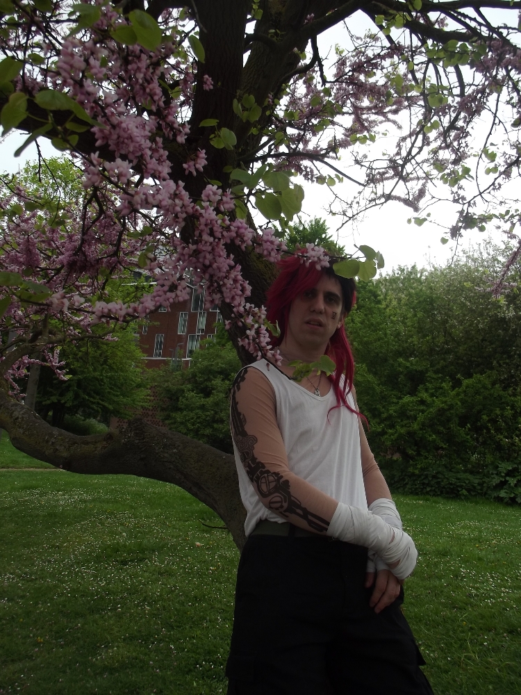 VI Arcane moderne — photo 23