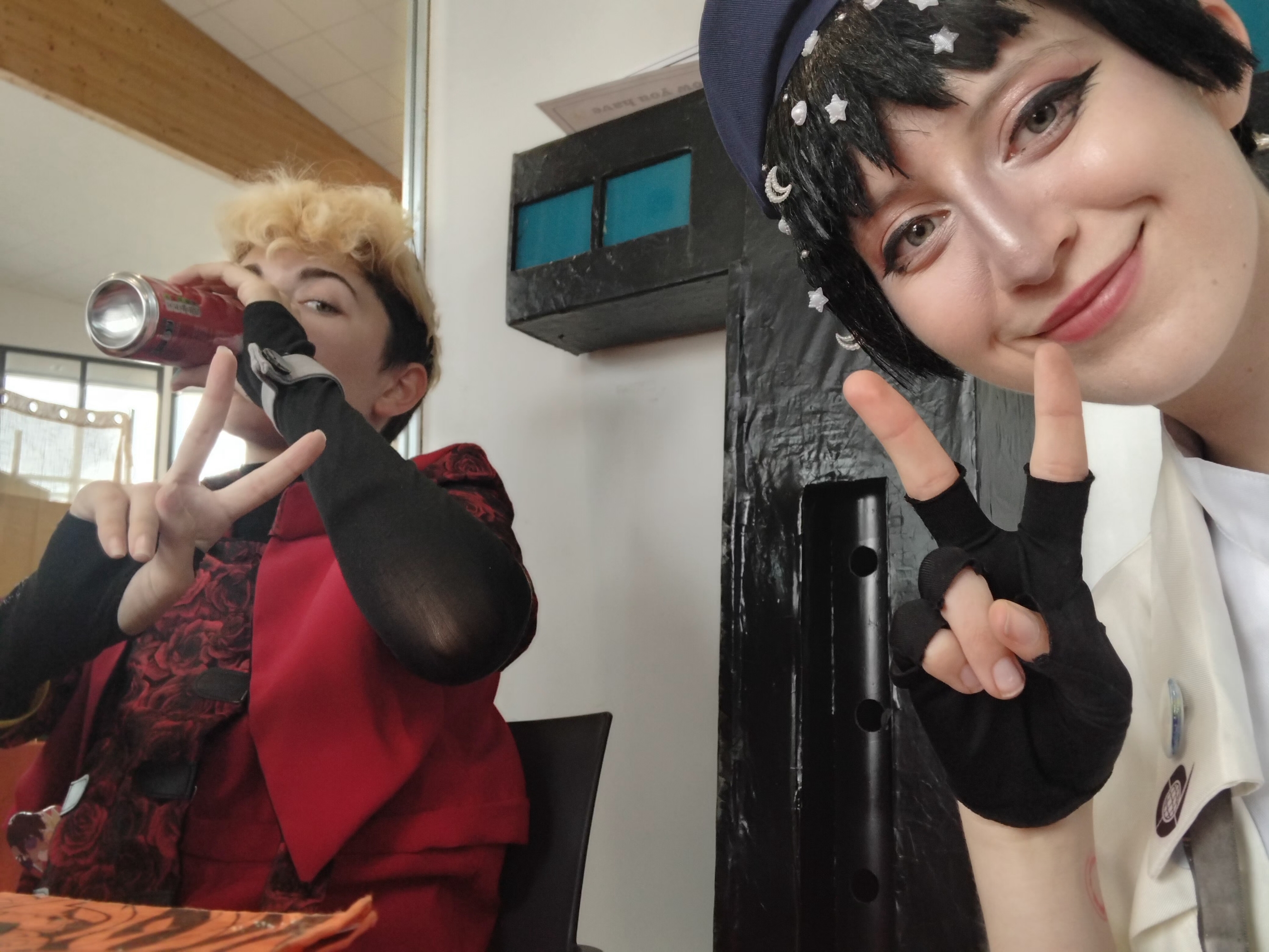 Gevaudan pop culture - Photo 5