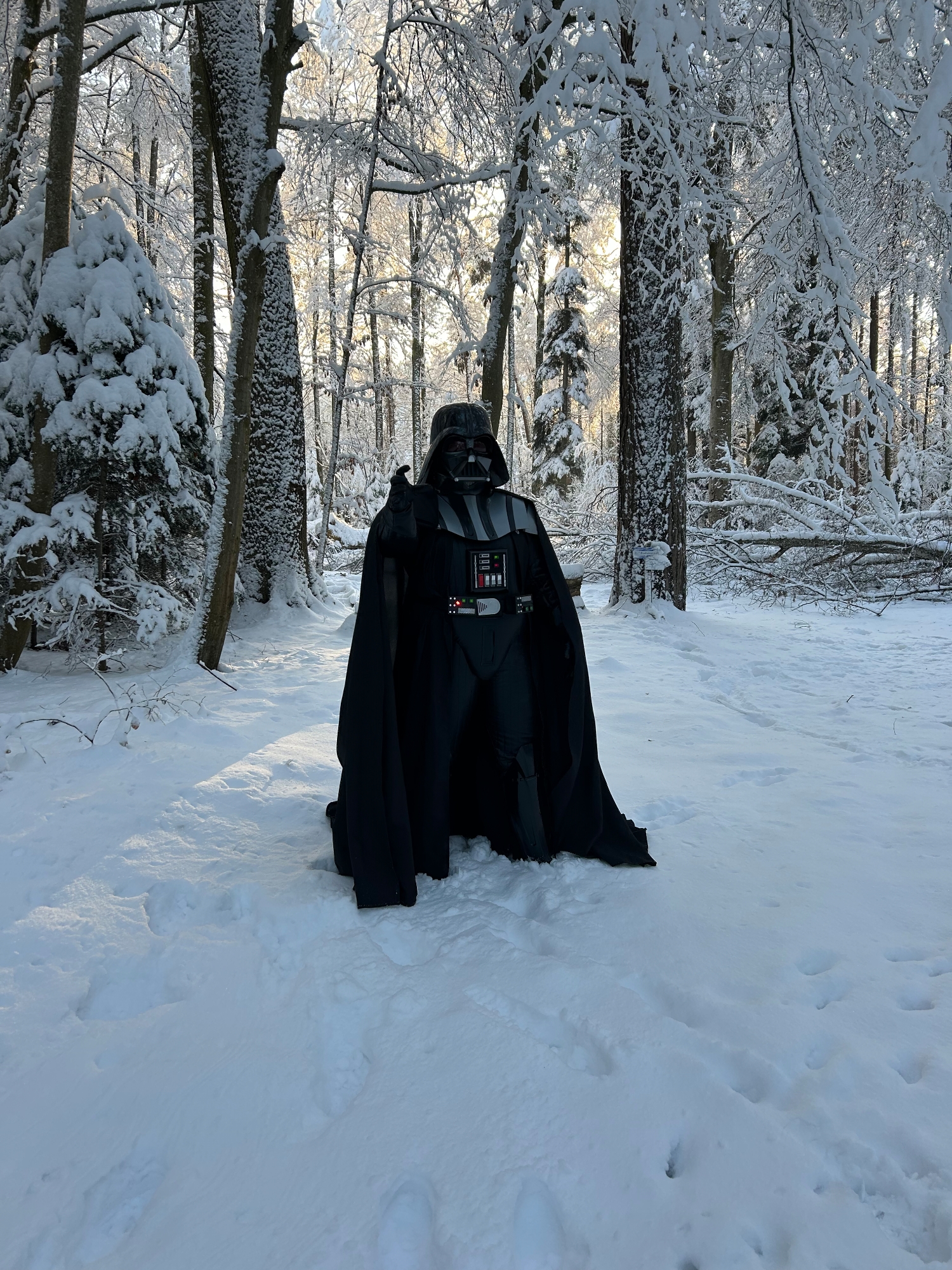 Snow Vader — photo 9