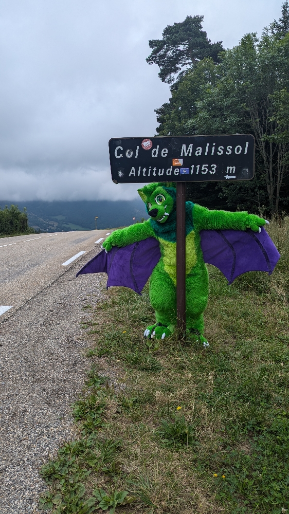 
A dark forest - Photo 9