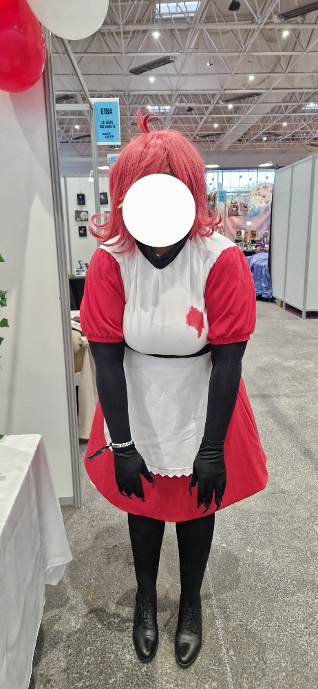 Geek days Caen - Photo 1