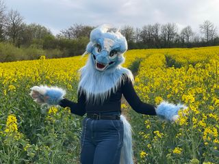 Fleurs de colza ☀️ preview 2