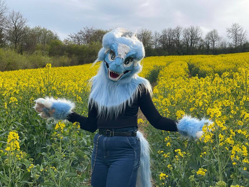 Fursymphony - Fleurs de colza ☀️