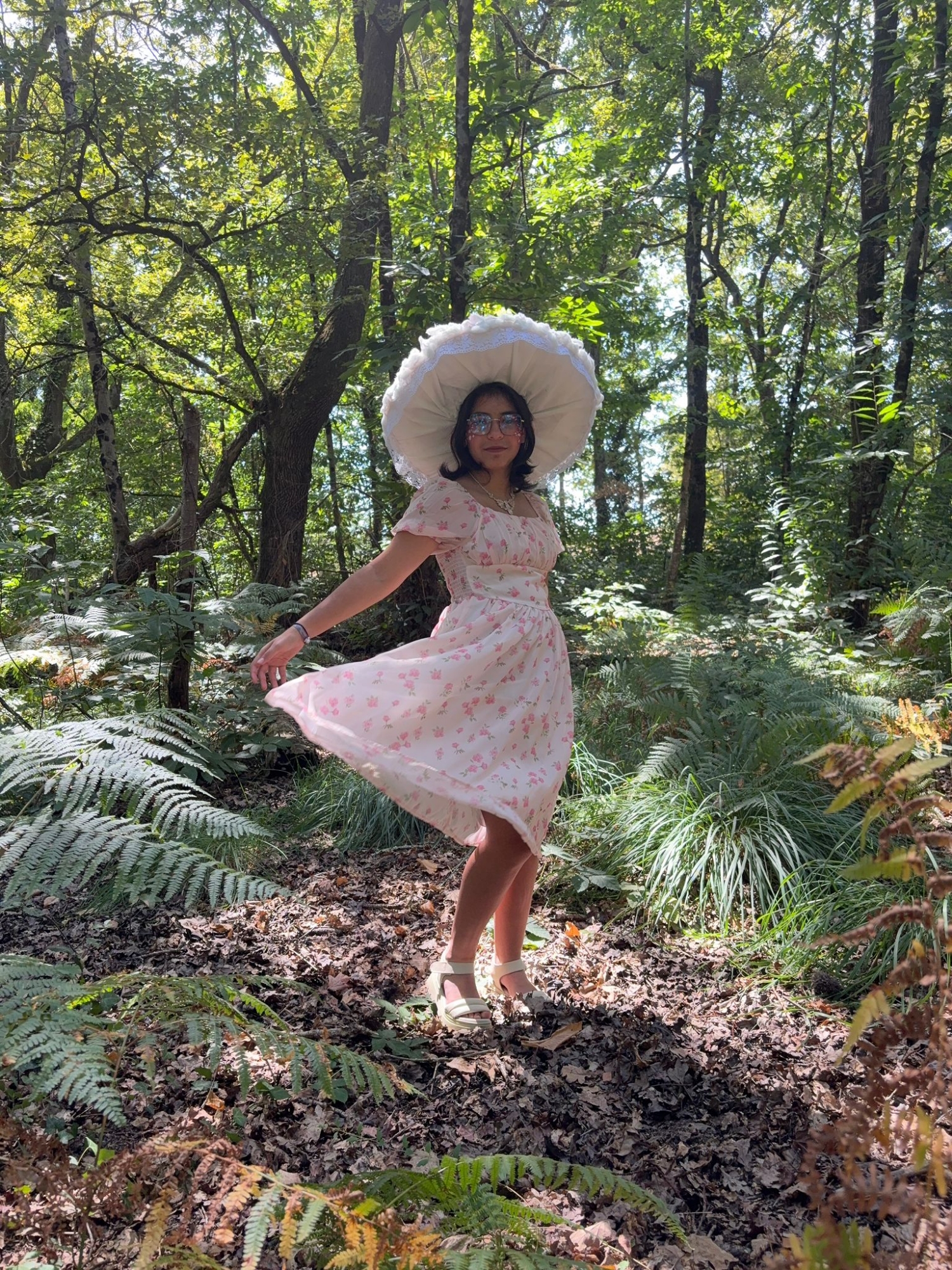 Champignon féerique 