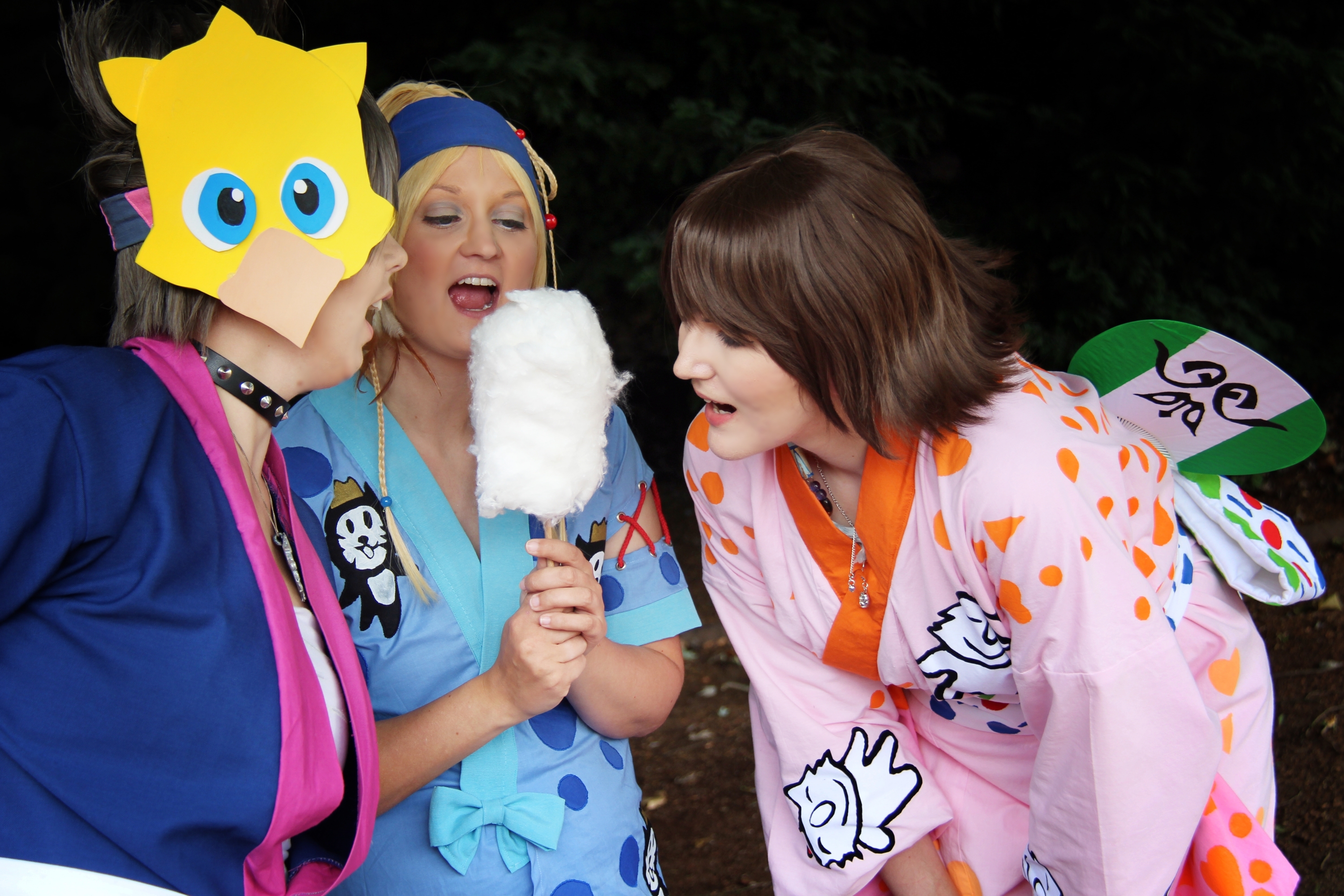 Y.R.P. Festivalist - Photo 9