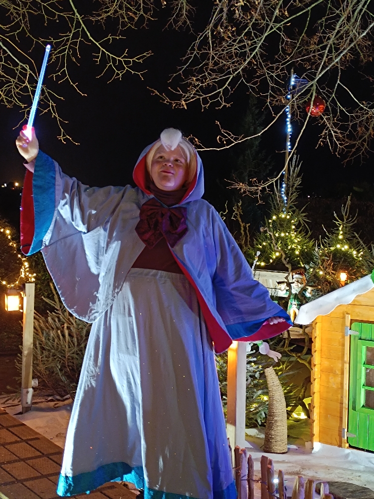 Bonne fée de Noël — photo 17