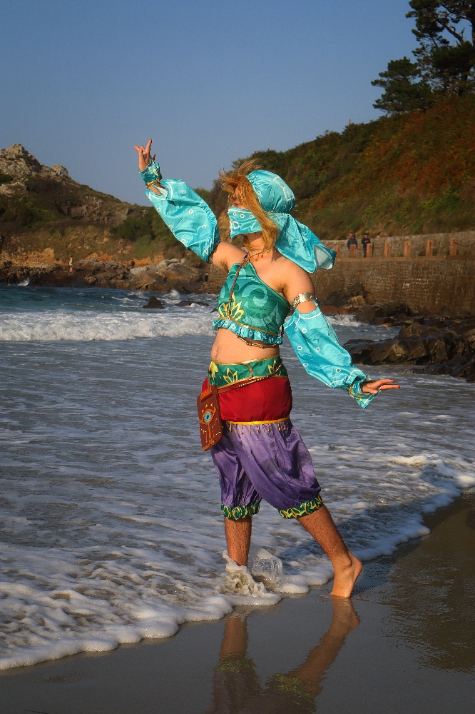 Link gerudo plage - Photo 6