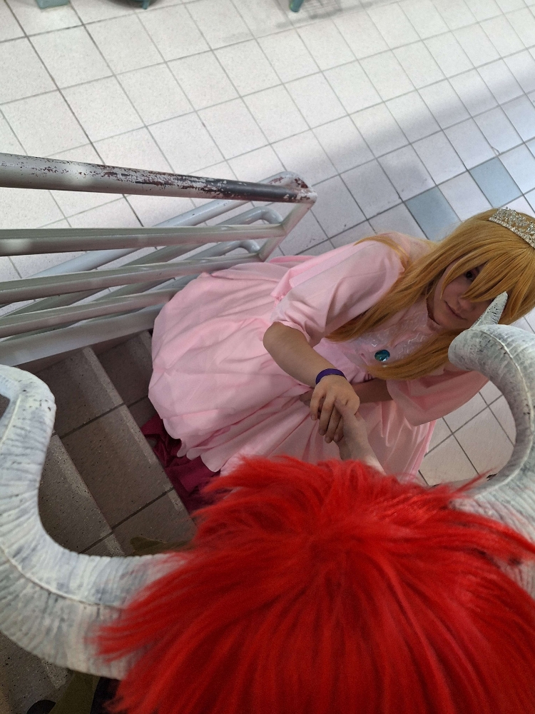 Bowser/Peach - Photo 3