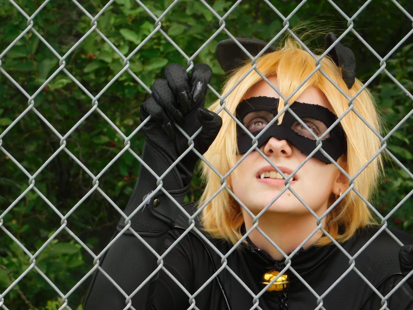 Chat Noir — photo 7
