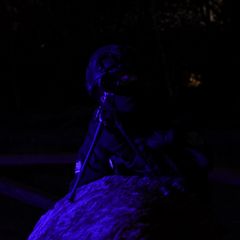 Scp preview 3