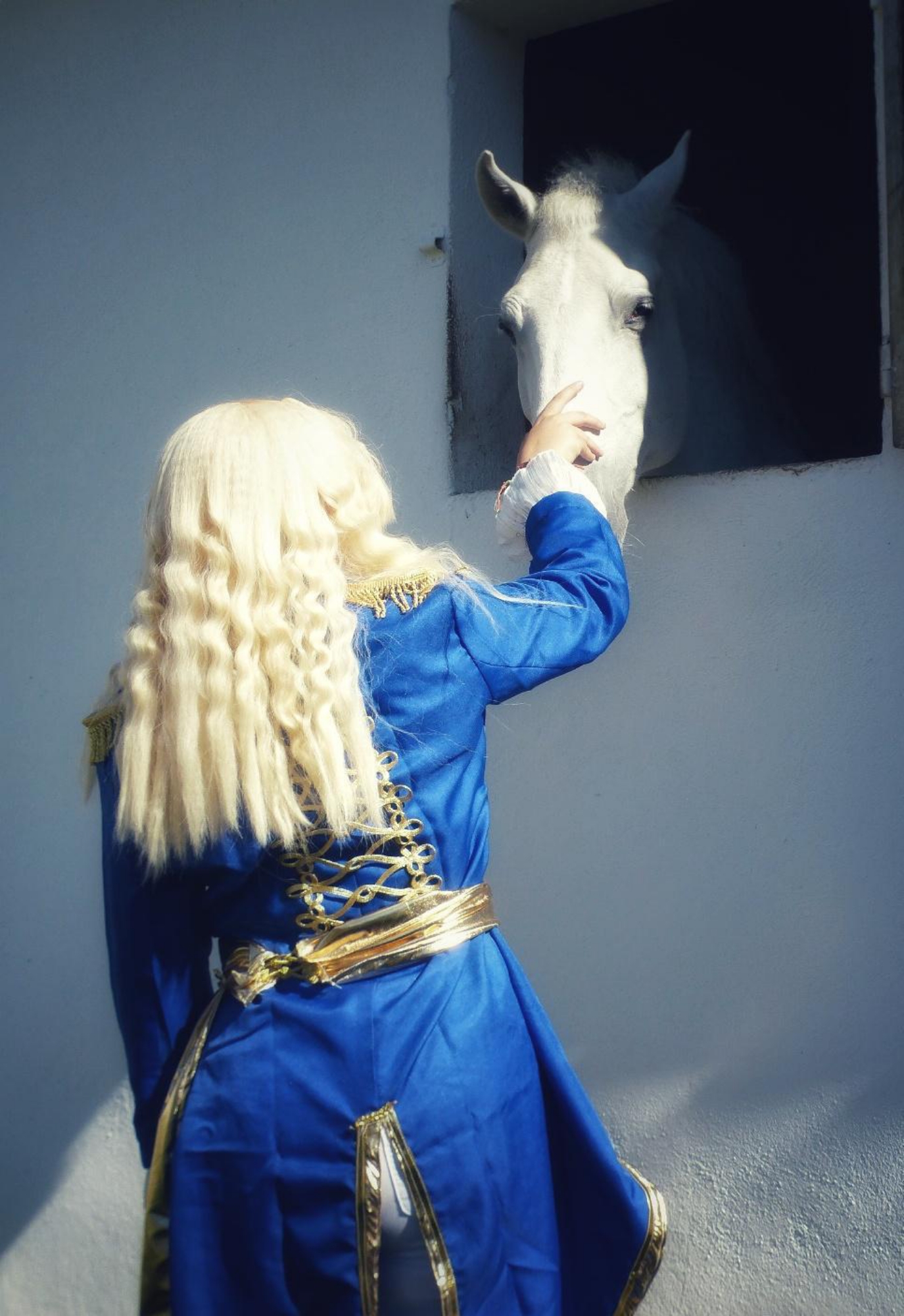 Lady oscar — photo 8