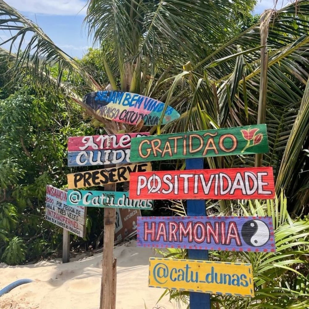 💙Miku Brésil !!🇧🇷