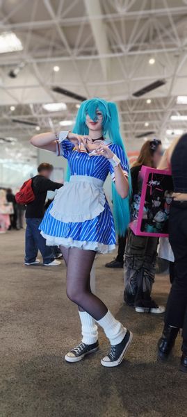 Szariate - Miku
