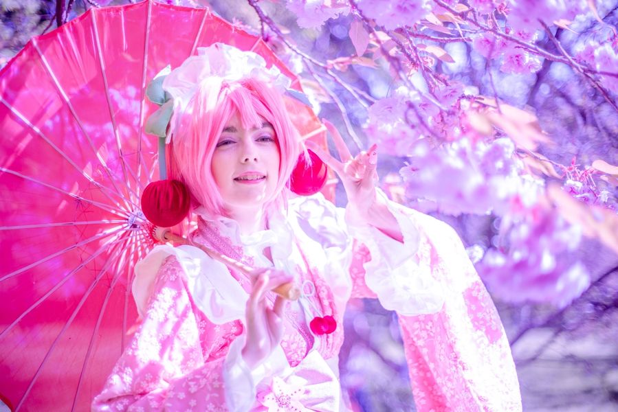 Himea_ - Sakura Miku -Hanami-