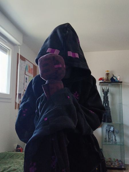 Chujuu_27 - Enderman
