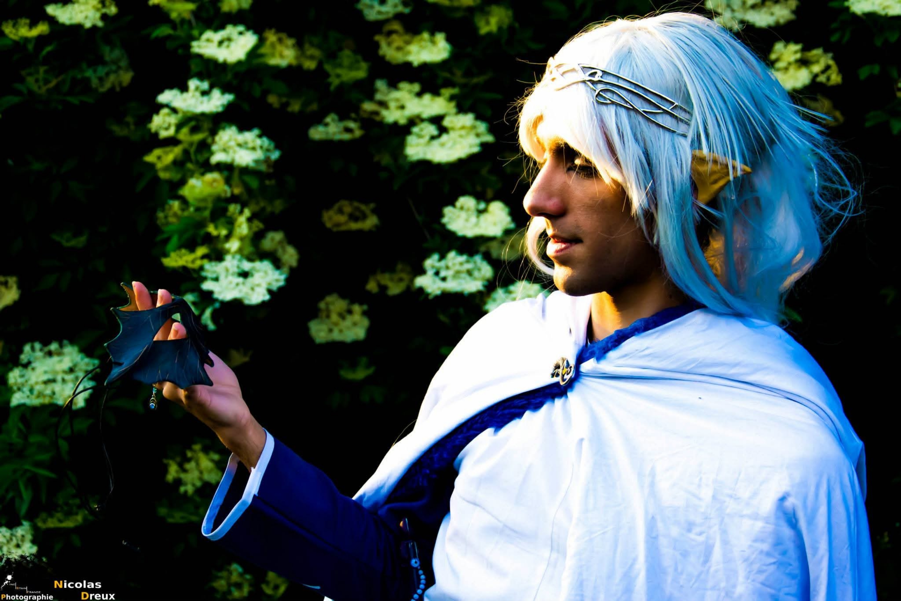 Mage des neiges — photo 11