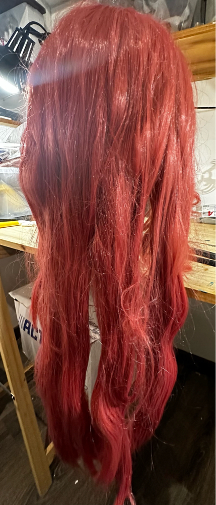 Makima wig — photo 10