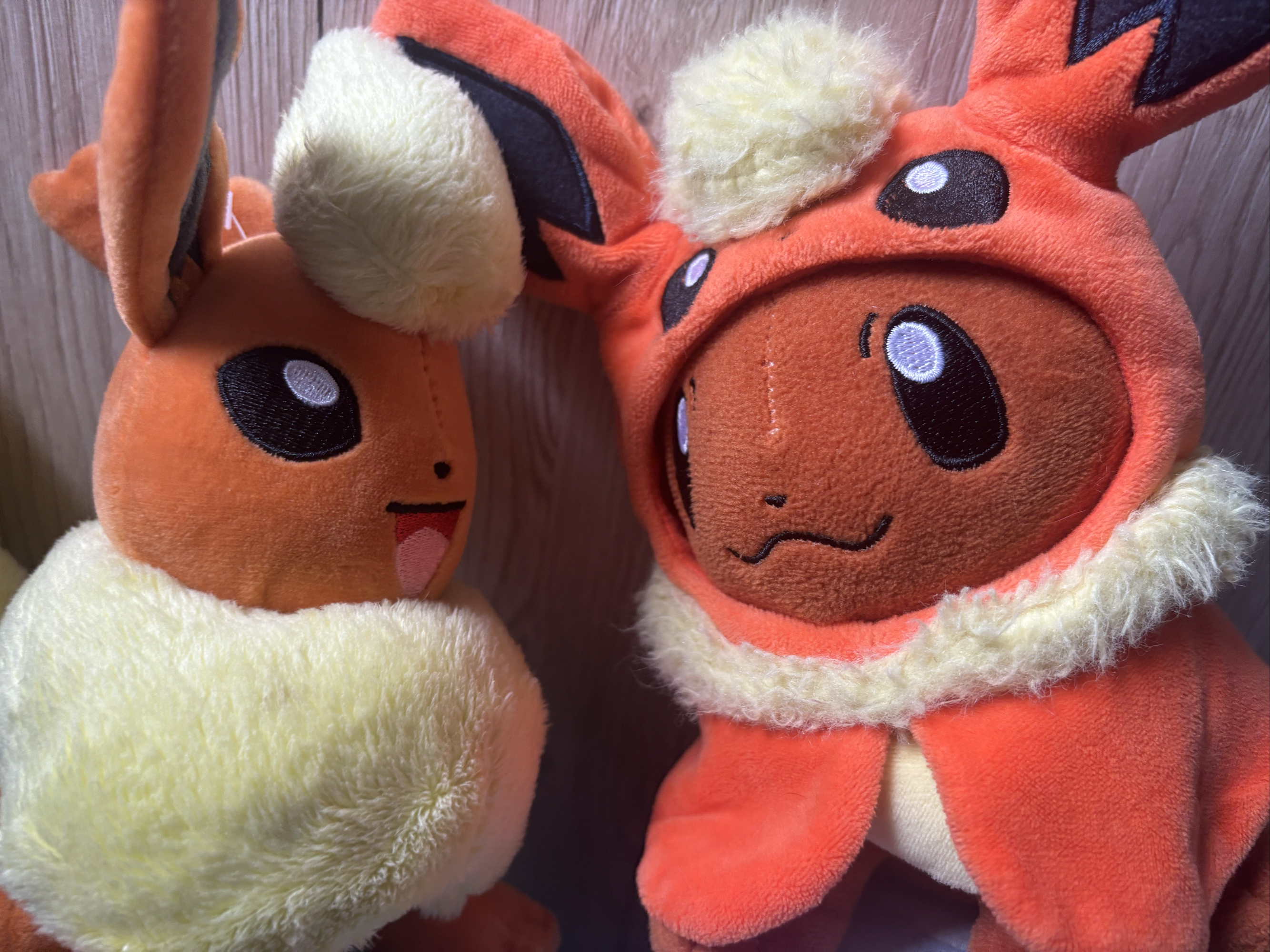 Evoli en Pyroli  - Photo 18