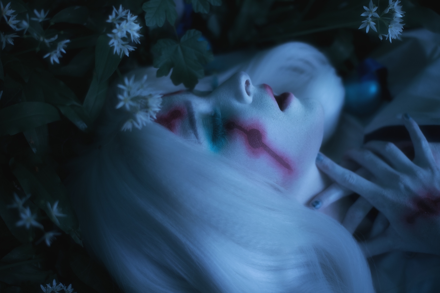 Private - Spider - Photo 10