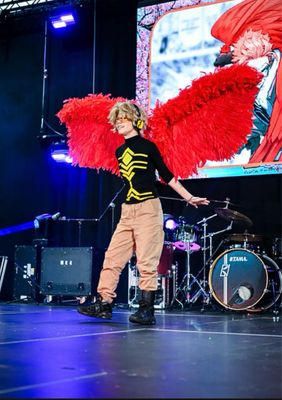 Toile._.cos, Hawks (My Hero Academia)