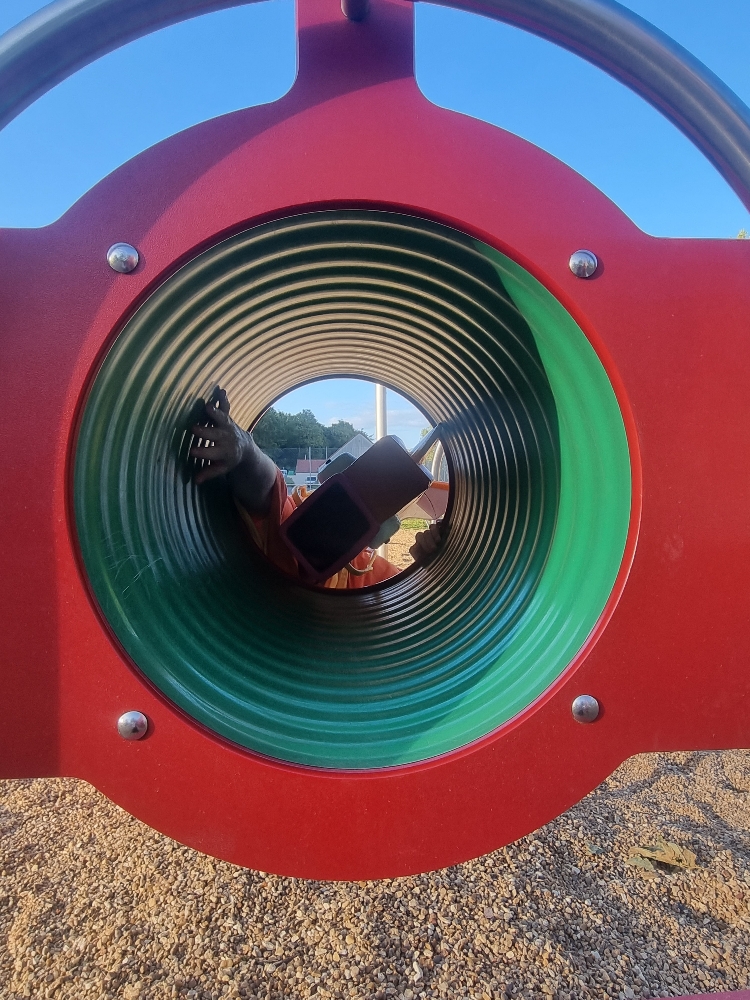 MoinegicarpeFlippant - Photo 6