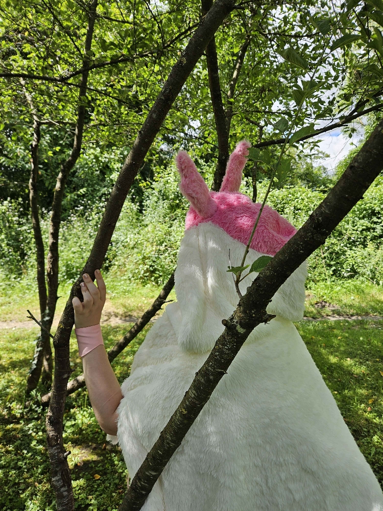 Nymphali forêt  - Photo 7