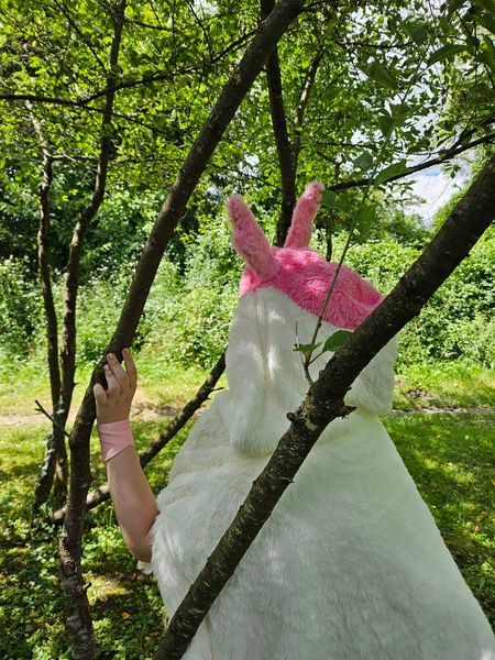Light - Nymphali forêt 