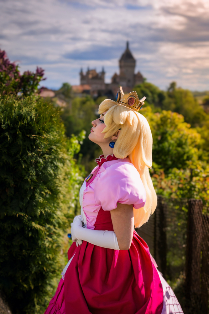 Peach and the Castel - Photo 9