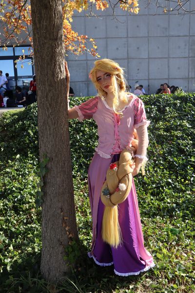 _s1lent_ech0splay, Rapunzel PM 2026
