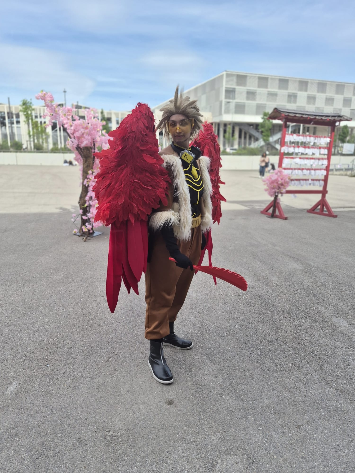 Hawks — photo 96