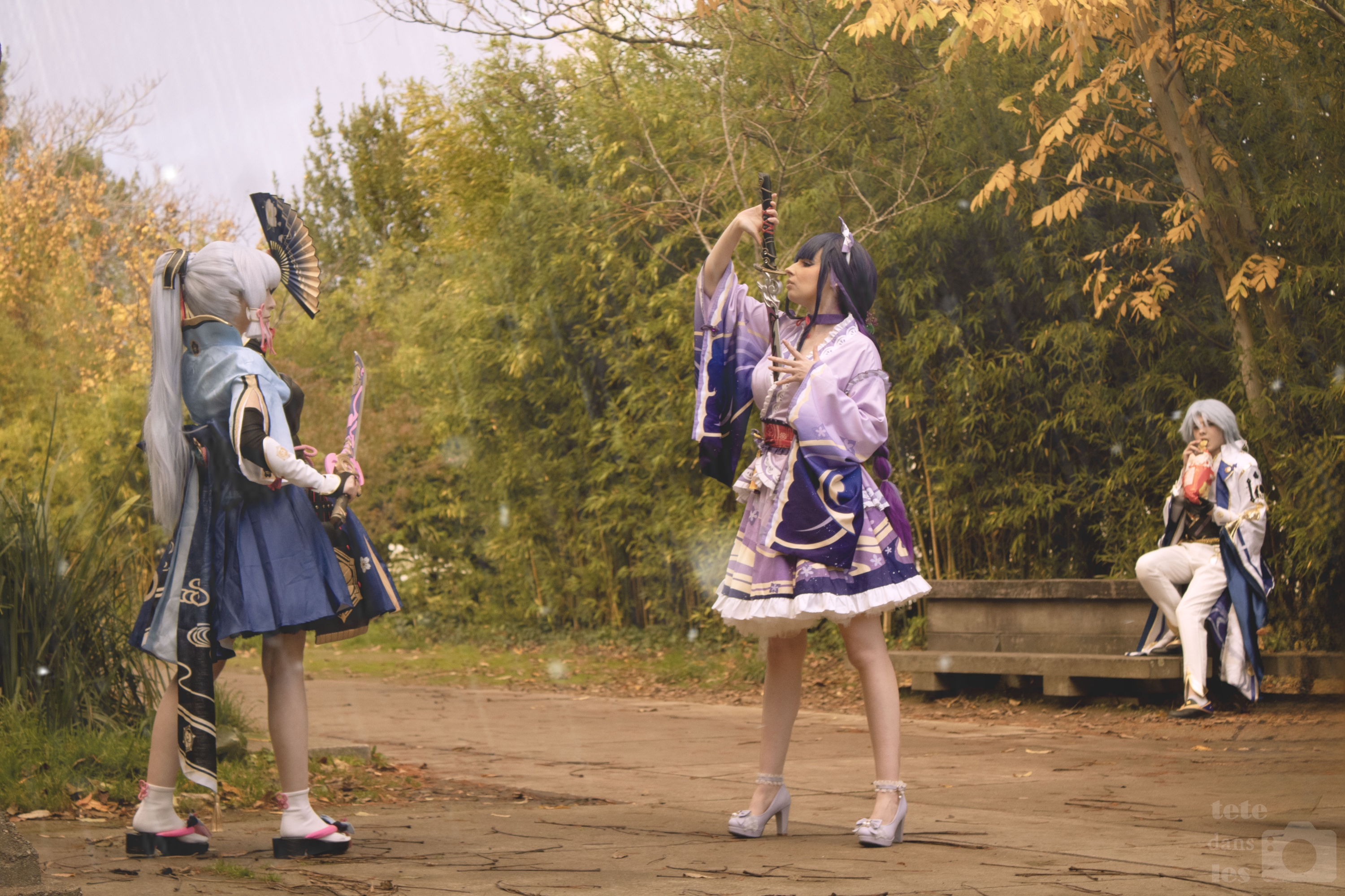 Raiden Shogun - Photo 5