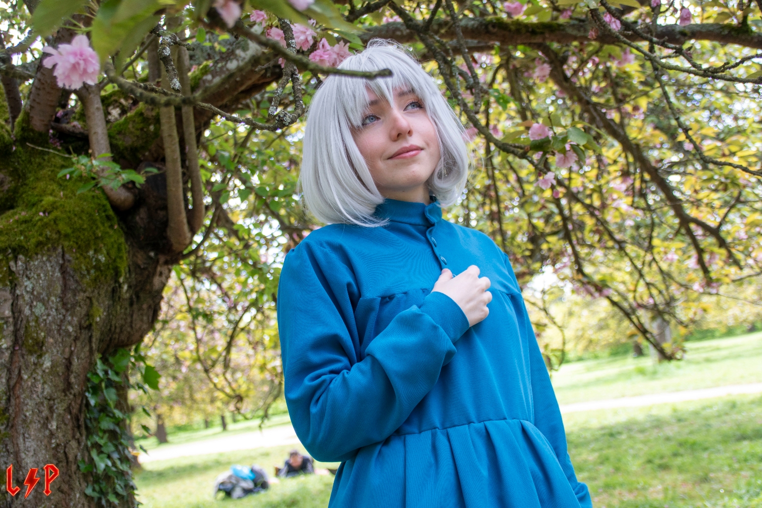 Château Ambulant - Photo 7