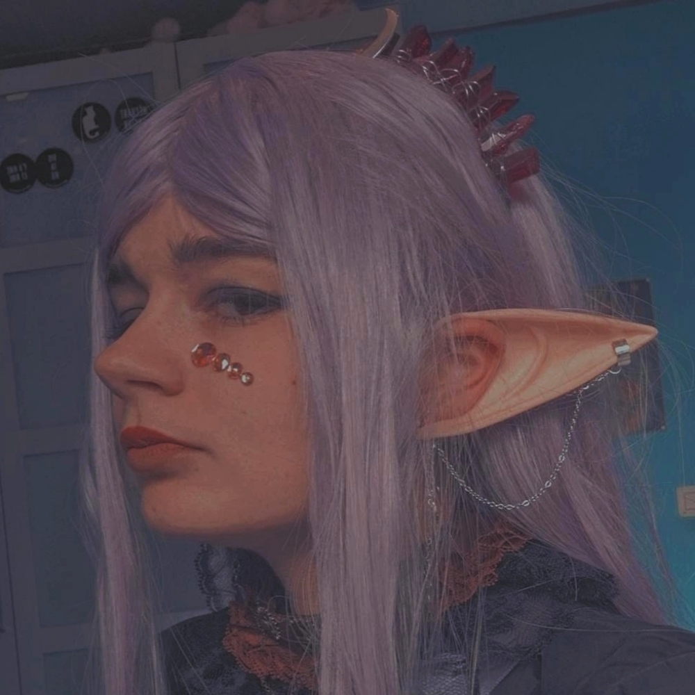 The owl house - Photo 2