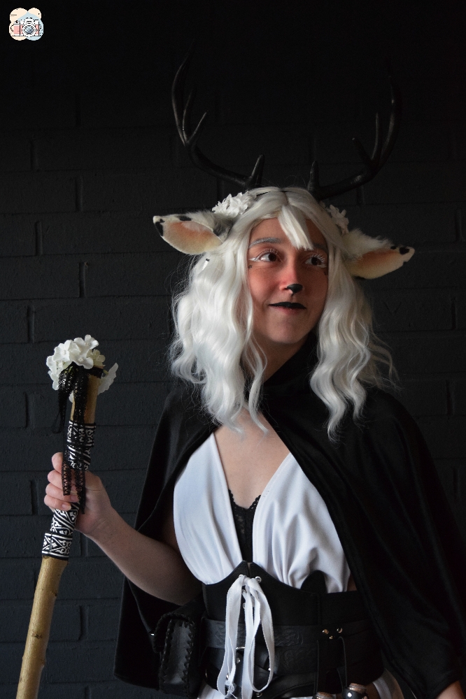 Faune noir et blanc — photo 5
