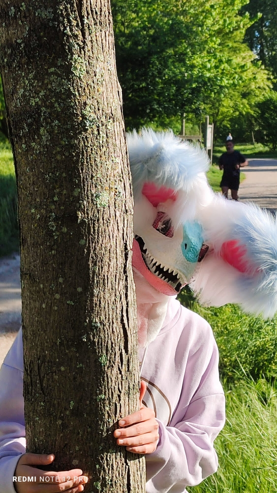 Debut du printemps  - Photo 3