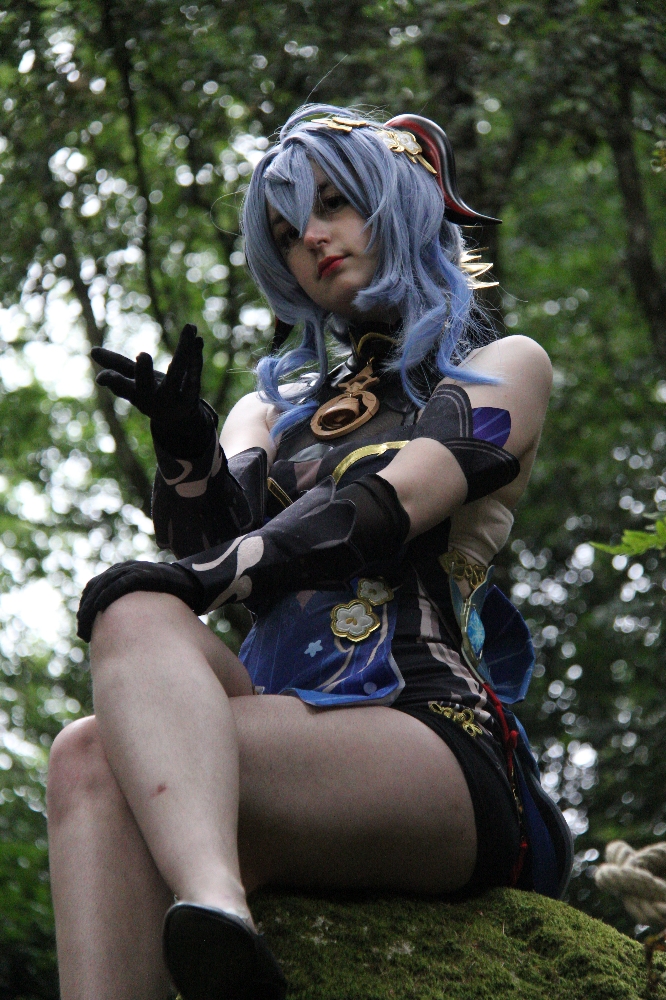 Ganyu Maulévrier - Photo 11