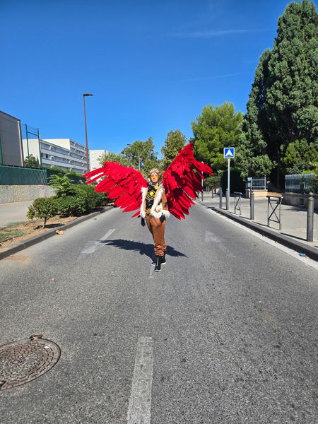 Marie_co - Hawks 
