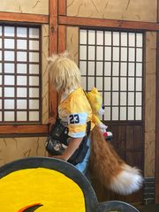 Tails preview 3