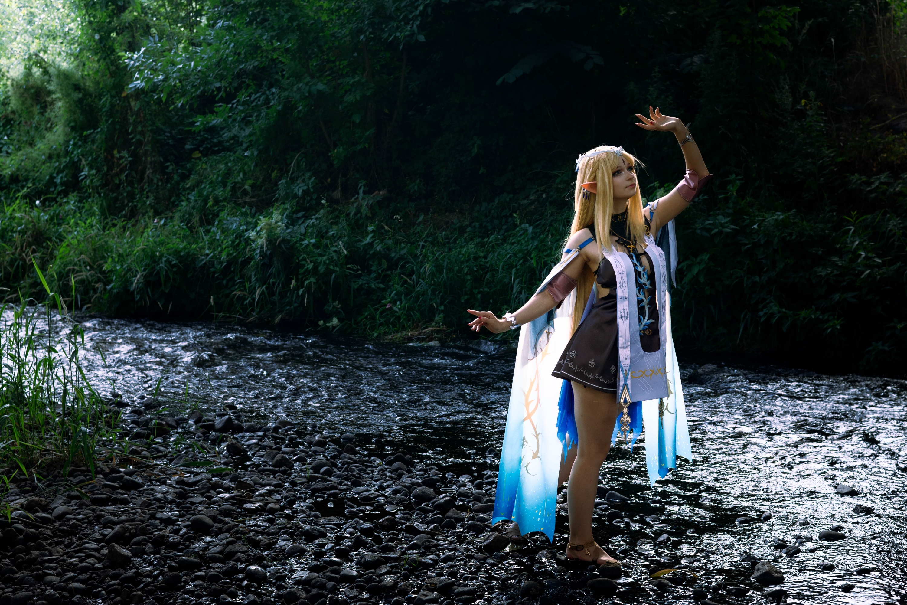 Cartethyia  - Photo 19