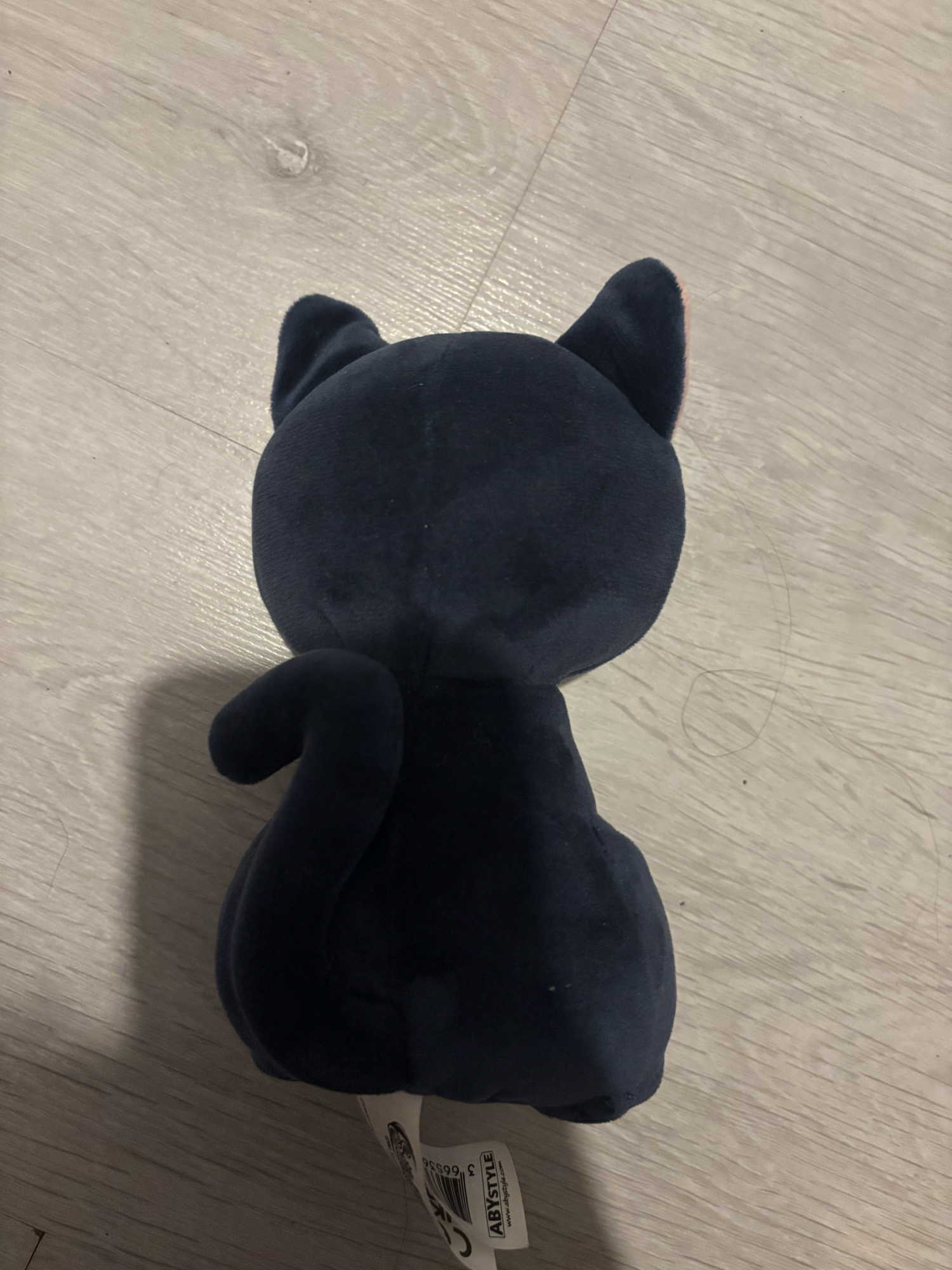 Chat (Sailor moon) - Photo 2