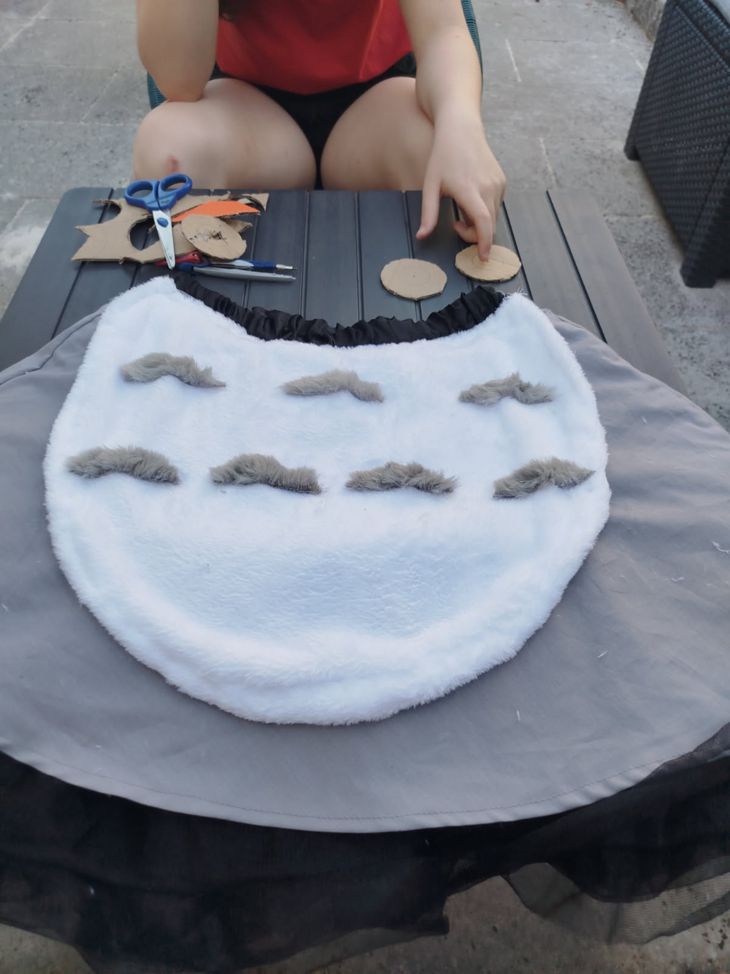 Totoro — photo 29