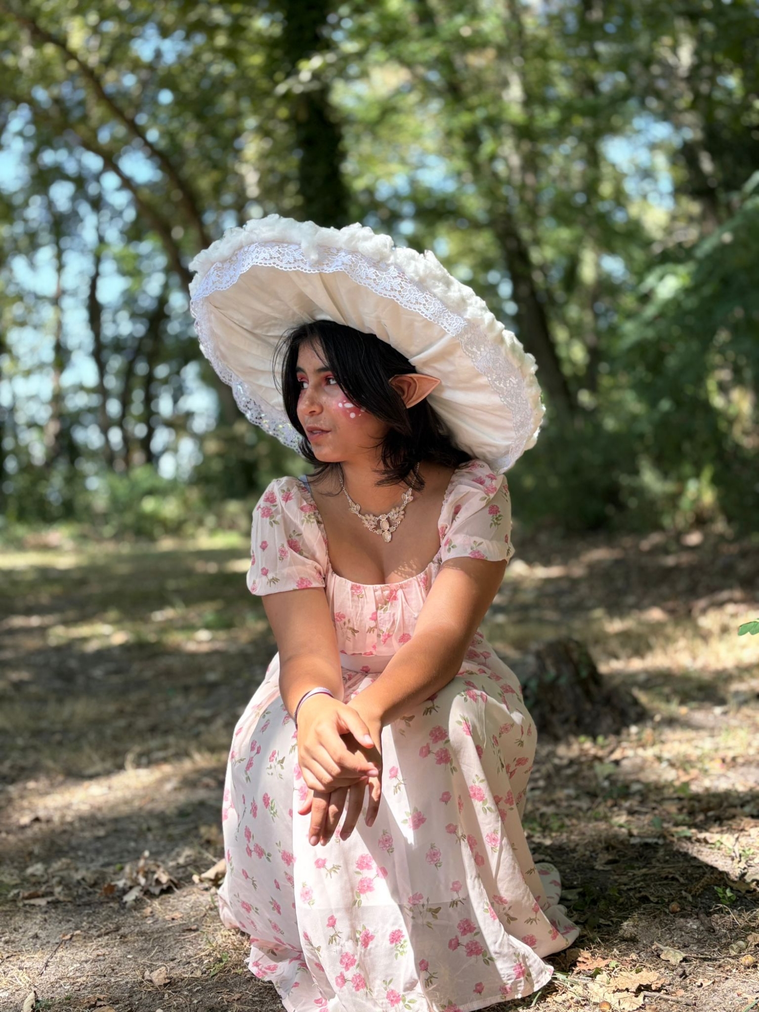 Champignon féerique  - Photo 6