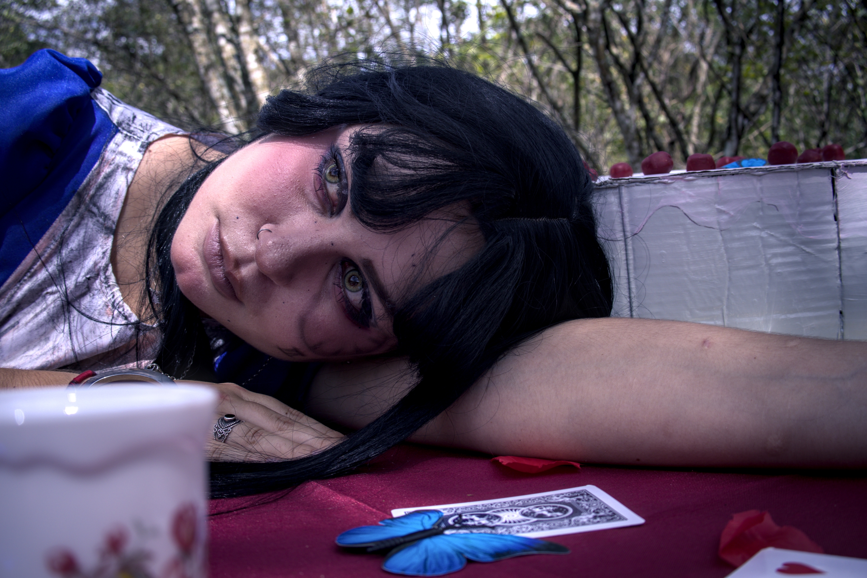 Alice Lidle — photo 25