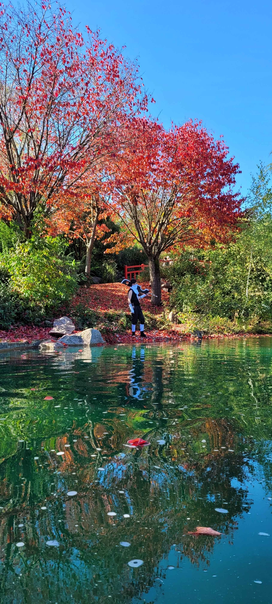 Zabuza — photo 6